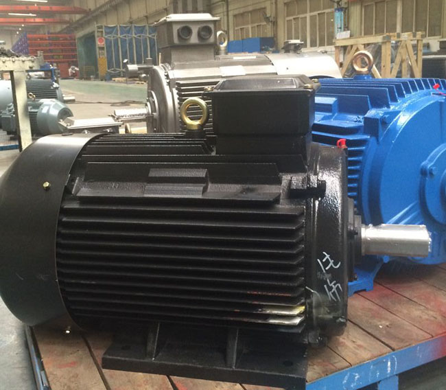 圖為西安西瑪電機生產的YE5系列高效三相異步電機照片 圖為西安西瑪電機生產的YE5系列高效三相異步電機照片