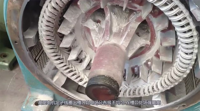 圖為高壓電機定子線圈出槽口處電場分布照片